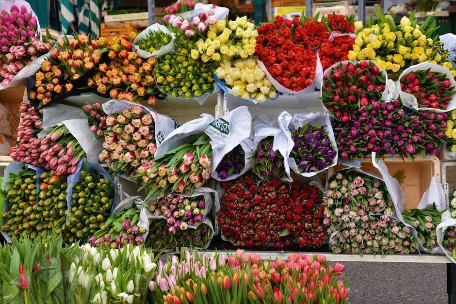 Marktzeiten in Enschede Holland
